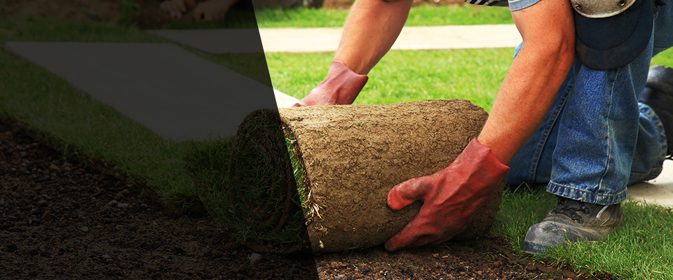 Olyphant Landscapers